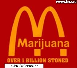 NO 1. - I'm lovin it!!!:) - FUN FUN FUN>>>>